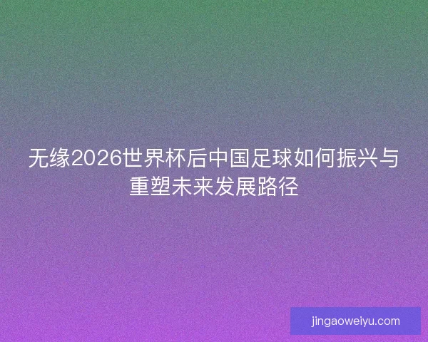 无缘2026世界杯后中国足球如何振兴与重塑未来发展路径