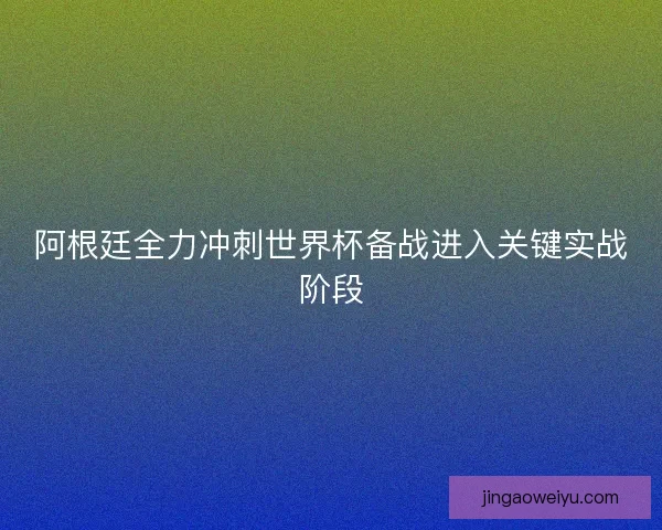 阿根廷全力冲刺世界杯备战进入关键实战阶段 阿根廷全力冲刺世界杯备战进入关键实战阶段